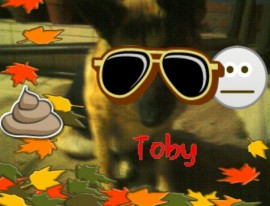 Toby